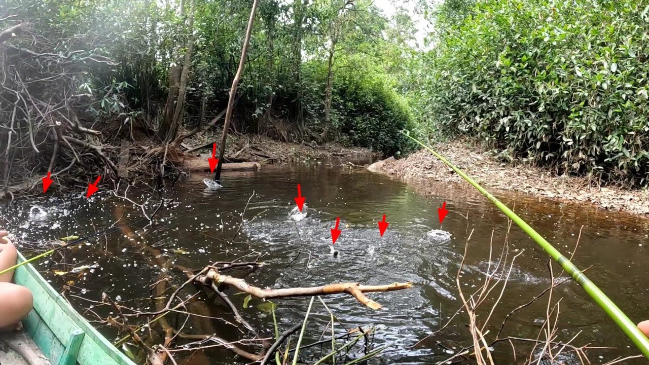 MANCING DI SPOT INI JANGAN BAWA UMPAN SEDIKIT