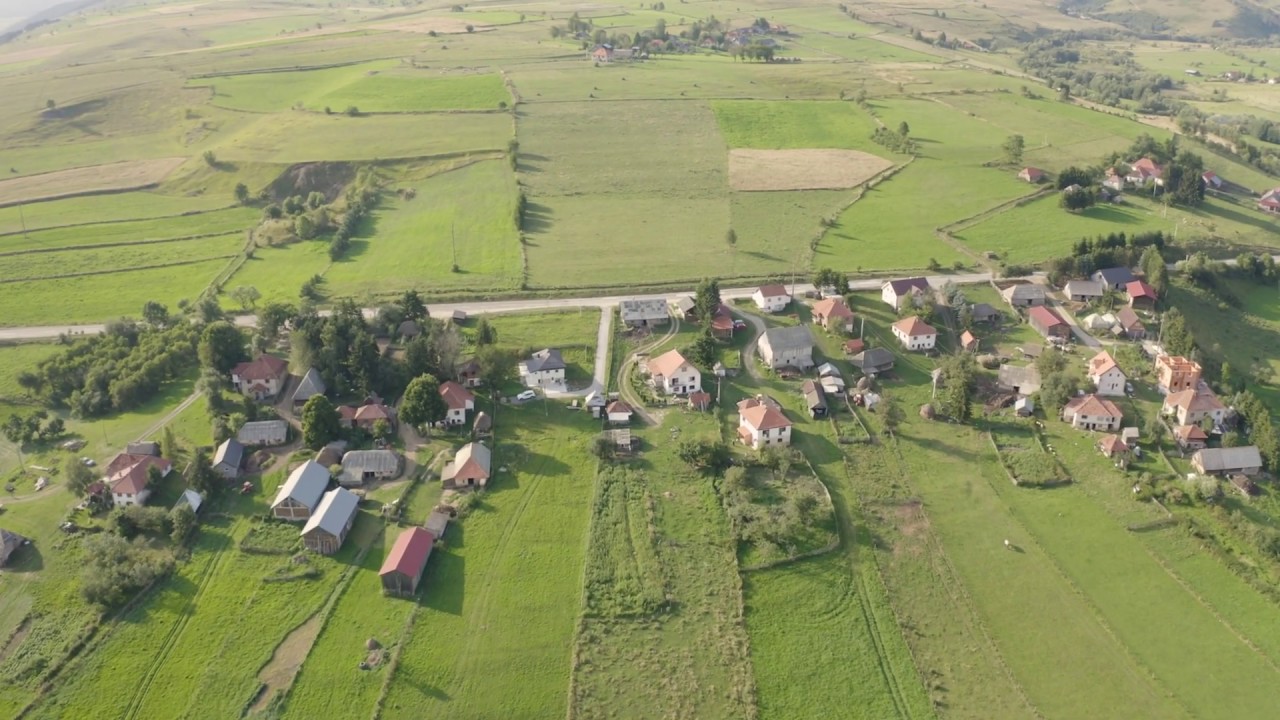 Brnjica