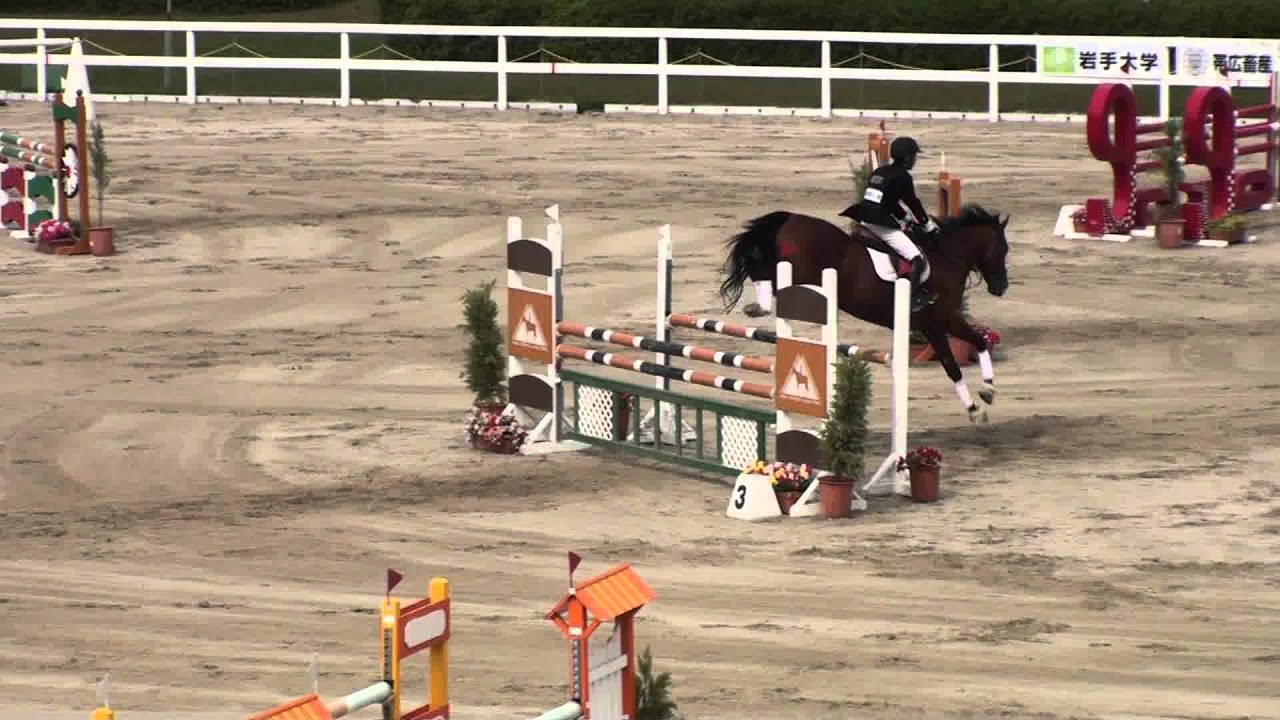 2011全学｜2走目｜坂口弘真｜ジアース