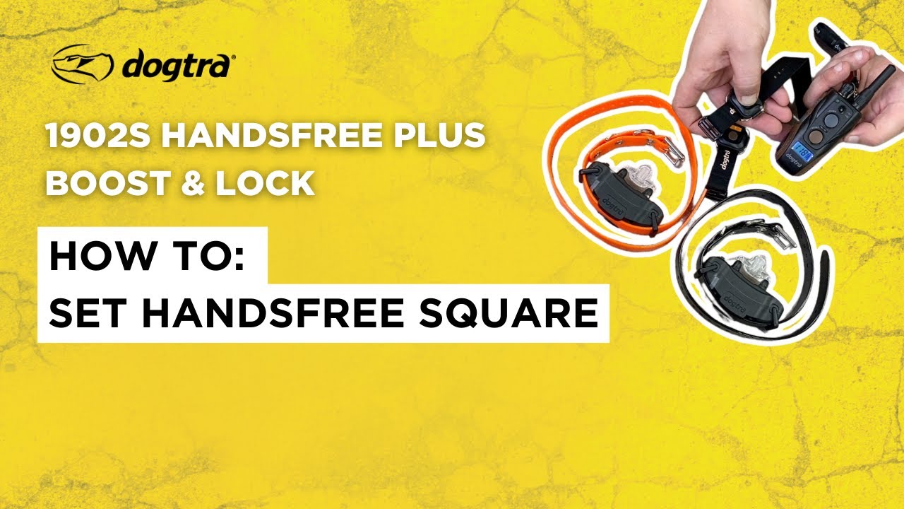 Как установить бесконтактную кнопку Handsfree Square | Dogtra 1902S HANDSFREE PLUS