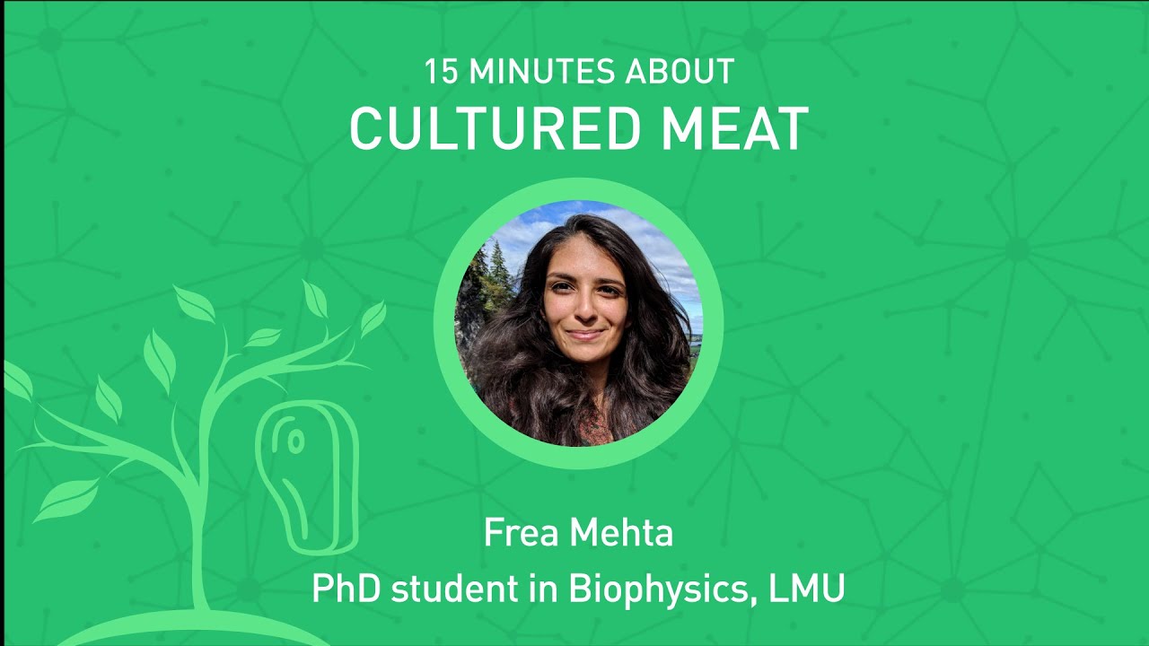 15 minutes about Cultured meat