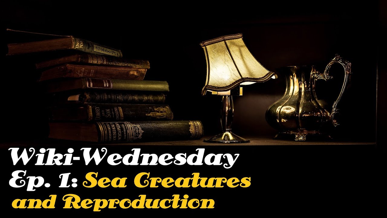 WIKI-WEDNESDAY | Episode One: Sea Creatures and Reproduction | (Recorded LIVE!)
