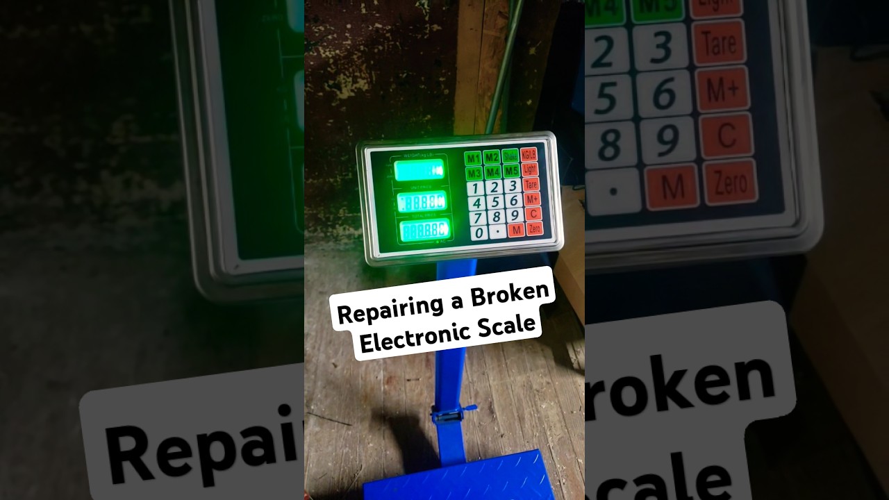 Repairing a Broken Scale 