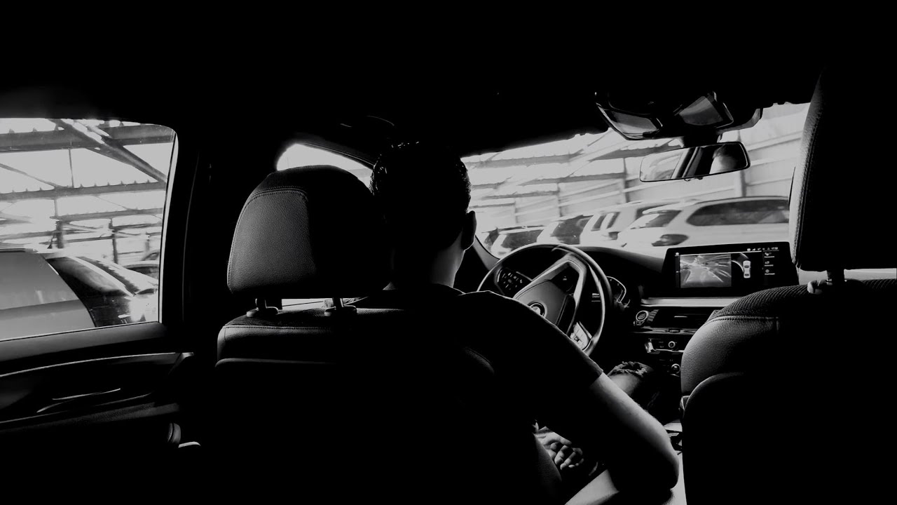 DOLLA - 100 PROBLEME [Official Video]