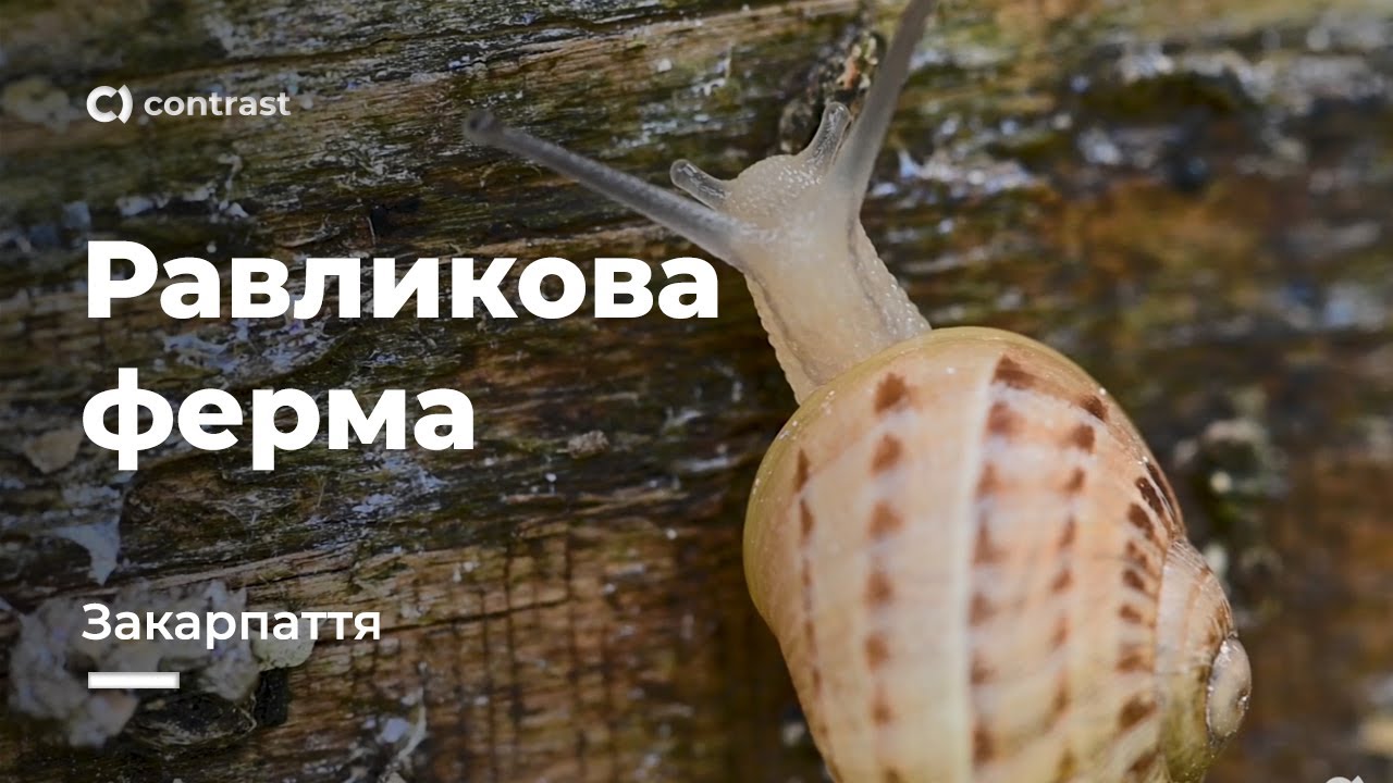 Равликова ферма