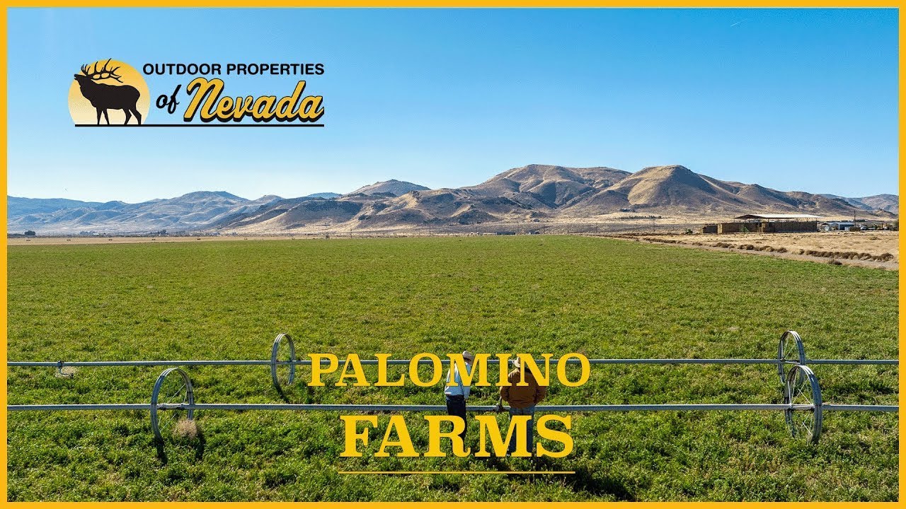 Palomino Farms: 710± Acre Alfalfa Ranch Near Reno | Water Rights & Center Pivots