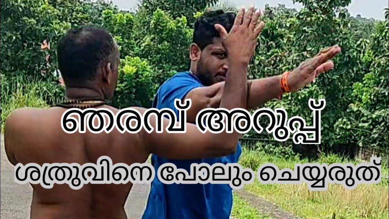 varma kalari/Ep247/ഞരമ്പ് അറുപ്പ്/പരിശീലനം ഇല്ലാതെ അനുകരിച്ചാൽ അപകടം.