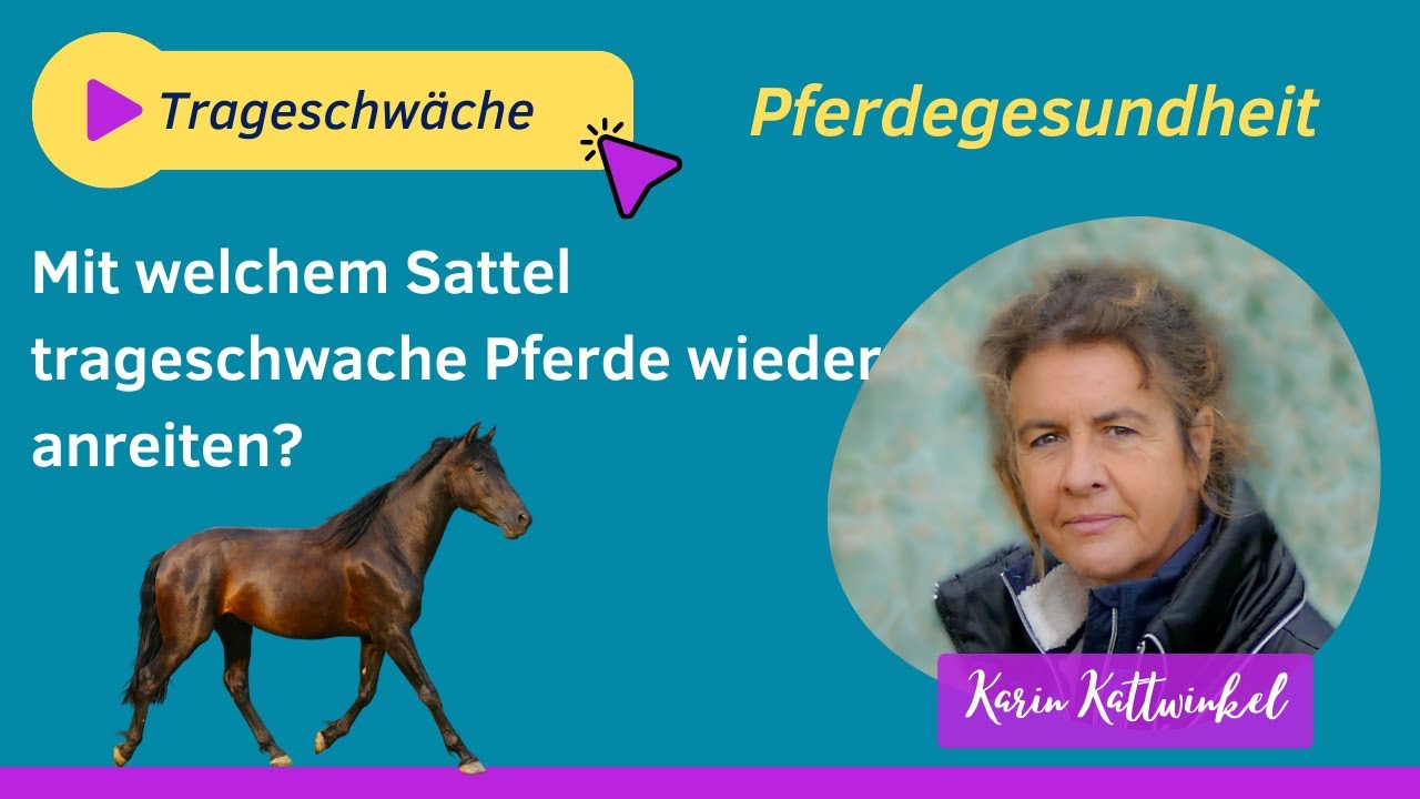 Wiederanreiten trageschwacher Pferde  | Pferdegesundheit | Karin Kattwinkel