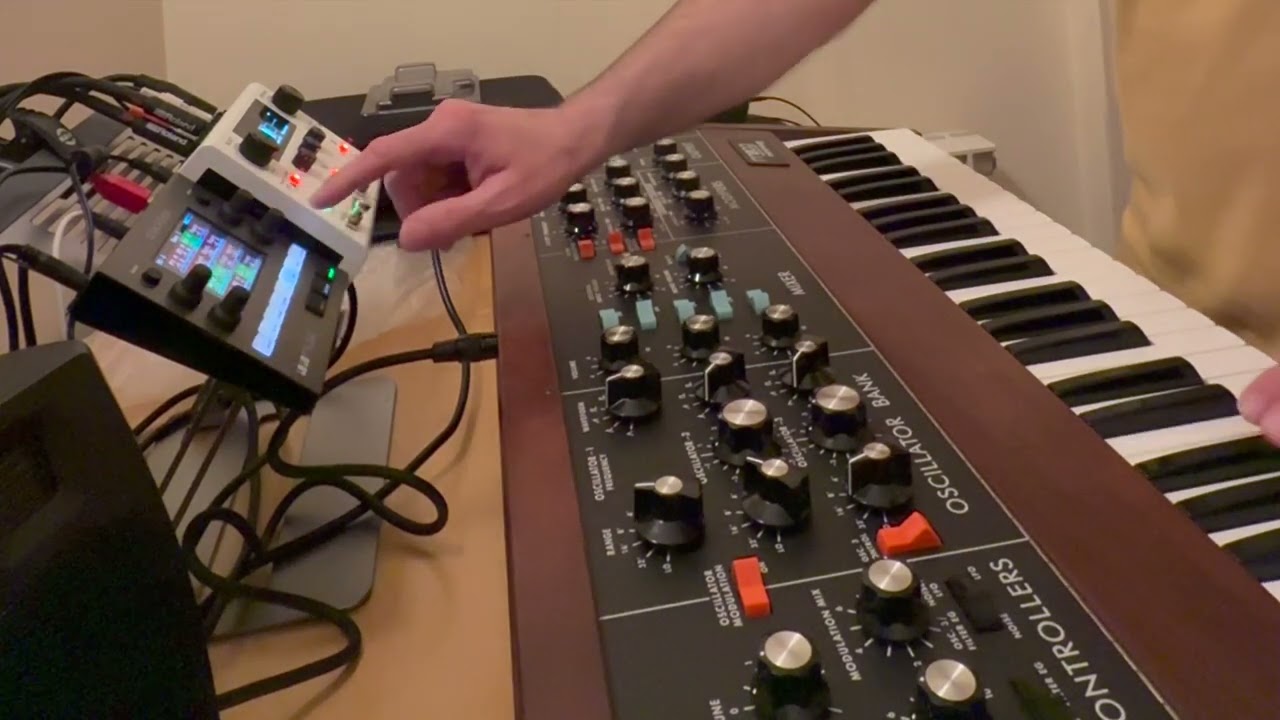 minimoog slow jam