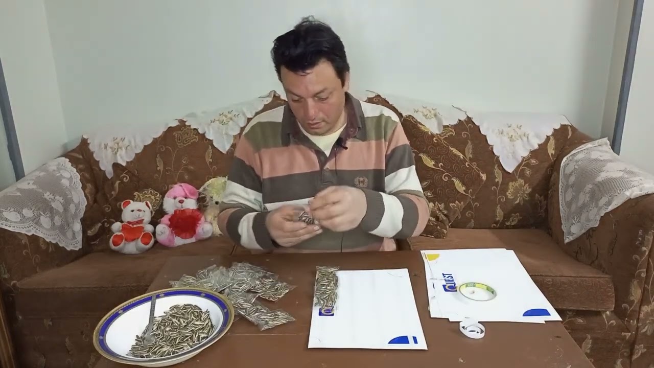 افكار مشاريع مع عمده تعبئة وتغليف اللب السوري اشترك الان في القناة وتفعيل زر الجرس ليصلك كل جديد
