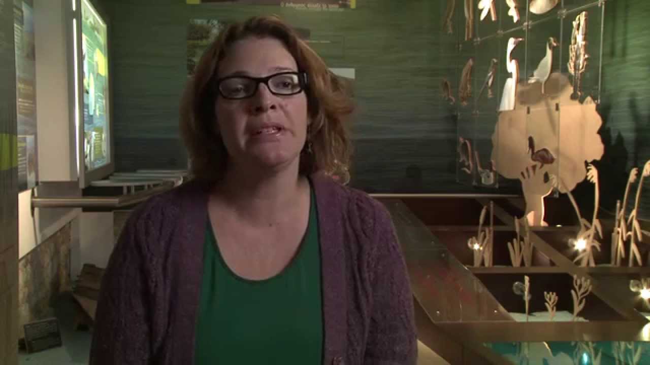 Ενα ντοκυμαντέρ για τη Λίμνη Παμβώτιδα