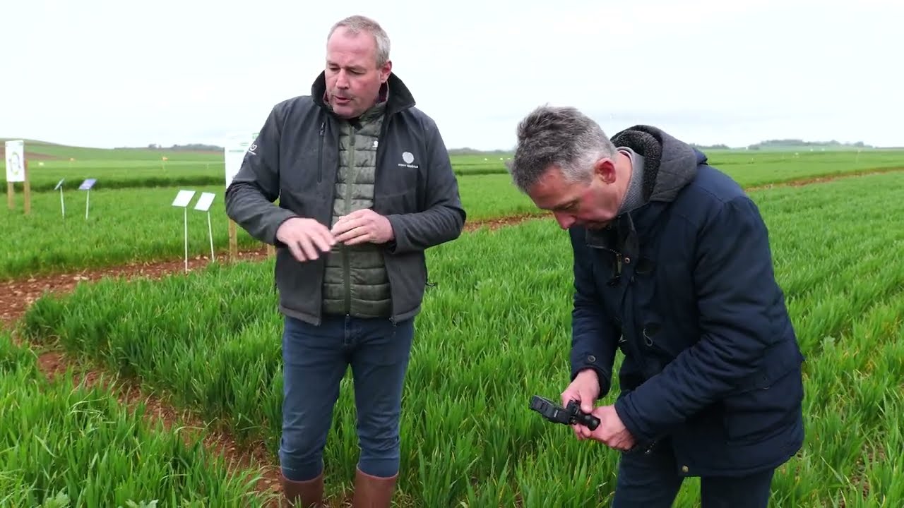 Décaler son semis pour limiter l'enherbement : Visite de la parcelle du champFriand BASF