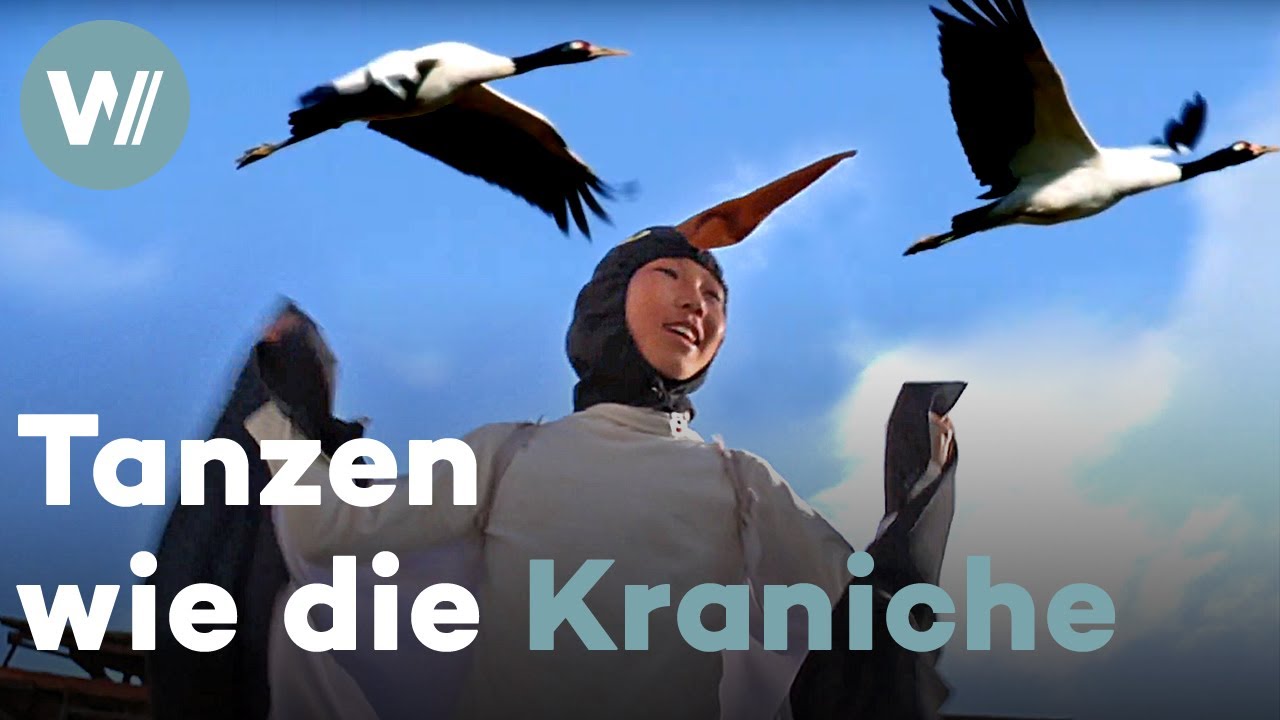 Traditionelles Kranichfest in Bhutan: Ankunft der Kraniche wird mit einem Tanz gefeiert