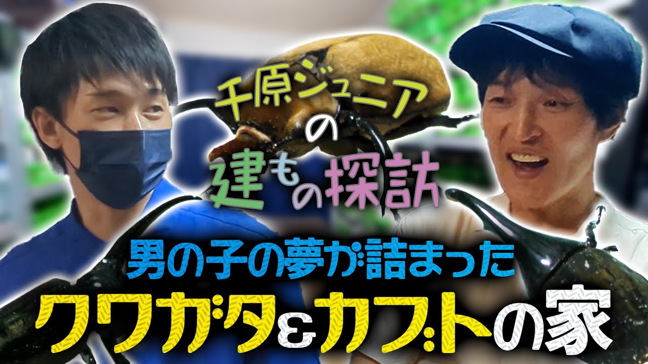 ジュニアの建物探訪〜世界最大級のカブト＆クワガタハウス〜