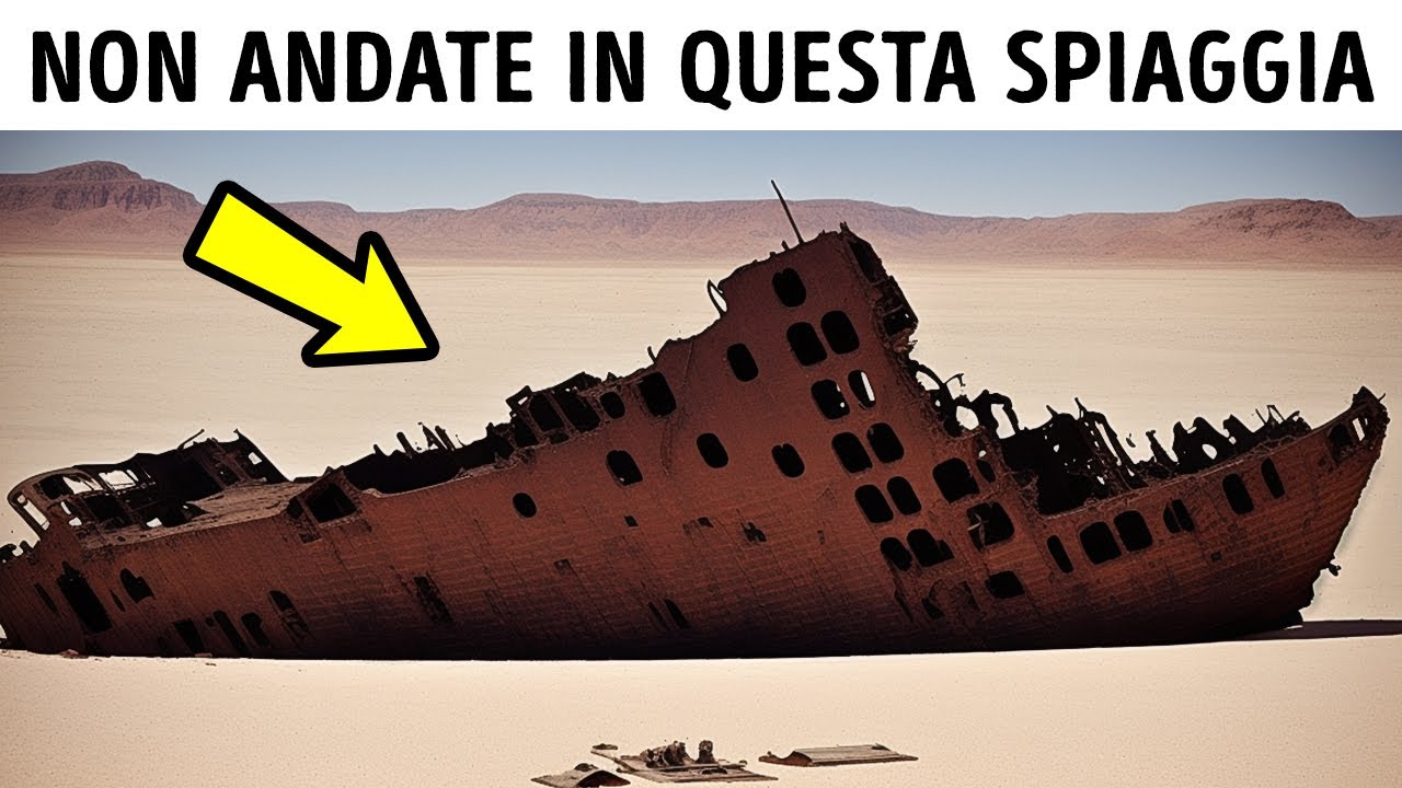 500 Relitti e 11 Specie di Squali: Non Visitate Mai questa Spiaggia