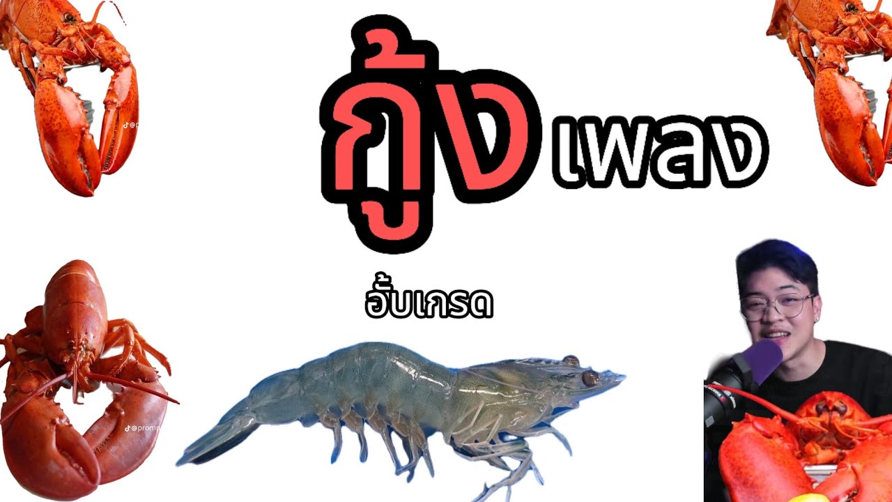 เพลงกุ้งอั้บเกรด