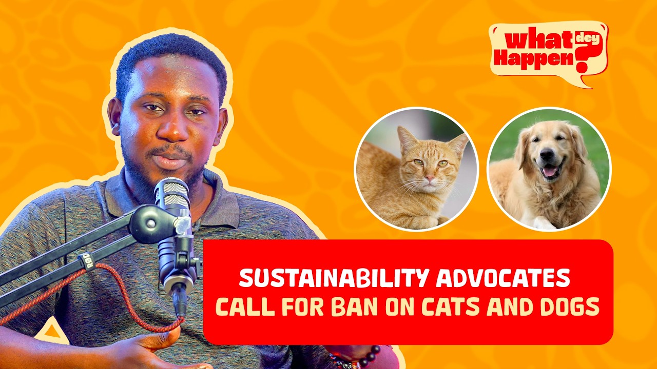 Ban Cats & Dogs? Sustainability Advocates Spark National Debate 🐶🐱