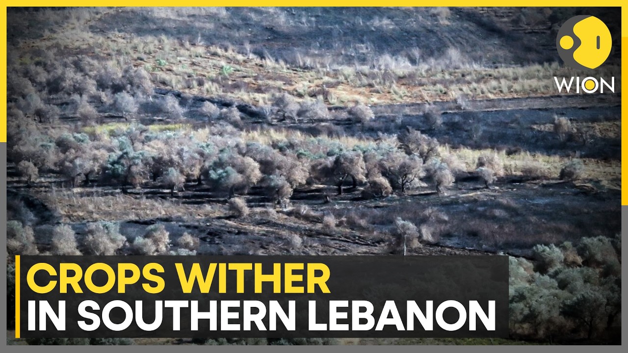 Lebanon & Syria Claim Israel is Using Chemicals Along Border Areas | WION News