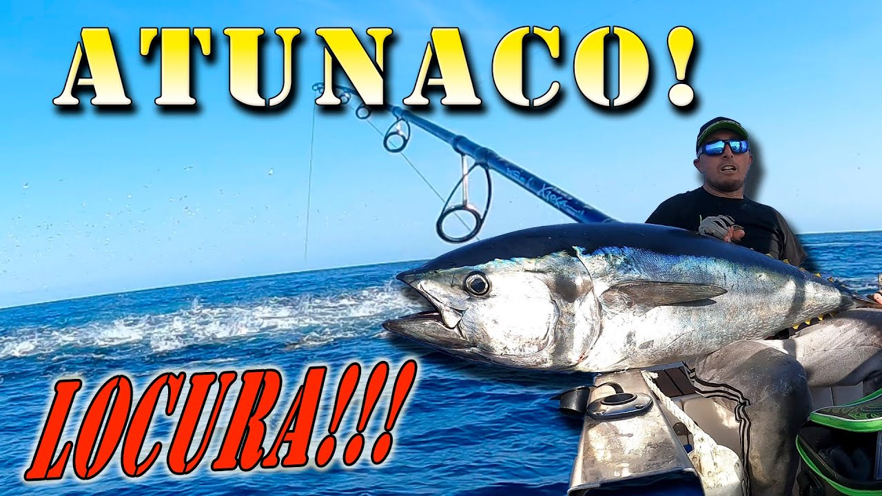 PESCA DE ATUNES A POPPING