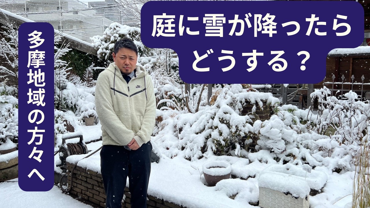 緊急LIVE配信🚨多摩地域の方々へ❄️Garden Designer ch グリーンギャラリーガーデンズ がライブ配信中！