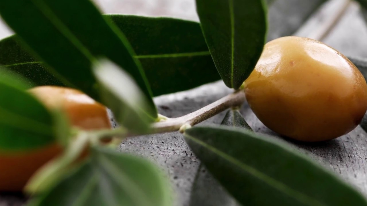 Olive Industry in Azerbaijan