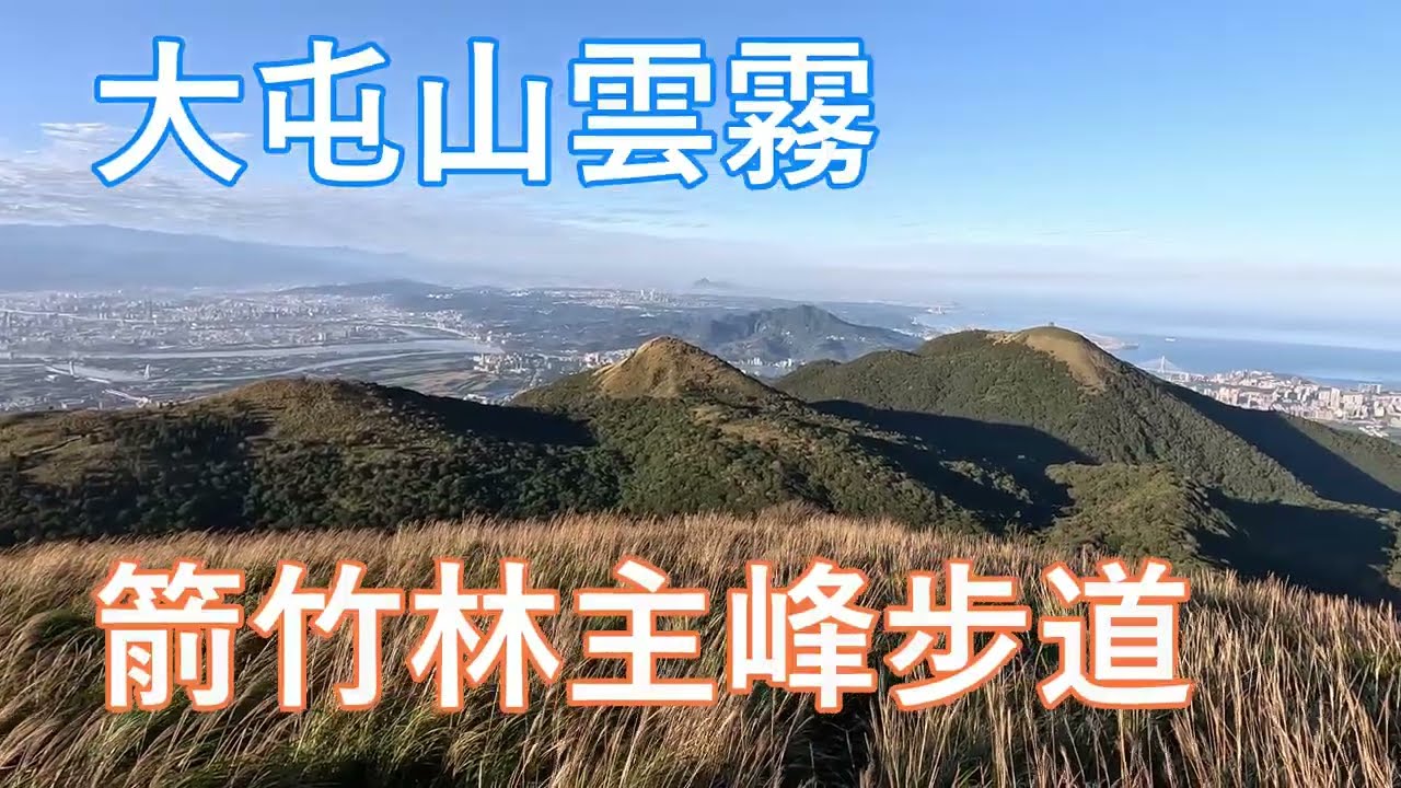 帶著思緒漫步~風中的聲音，雨中的雲霧！大屯山雲霧~箭竹林主峰步道~