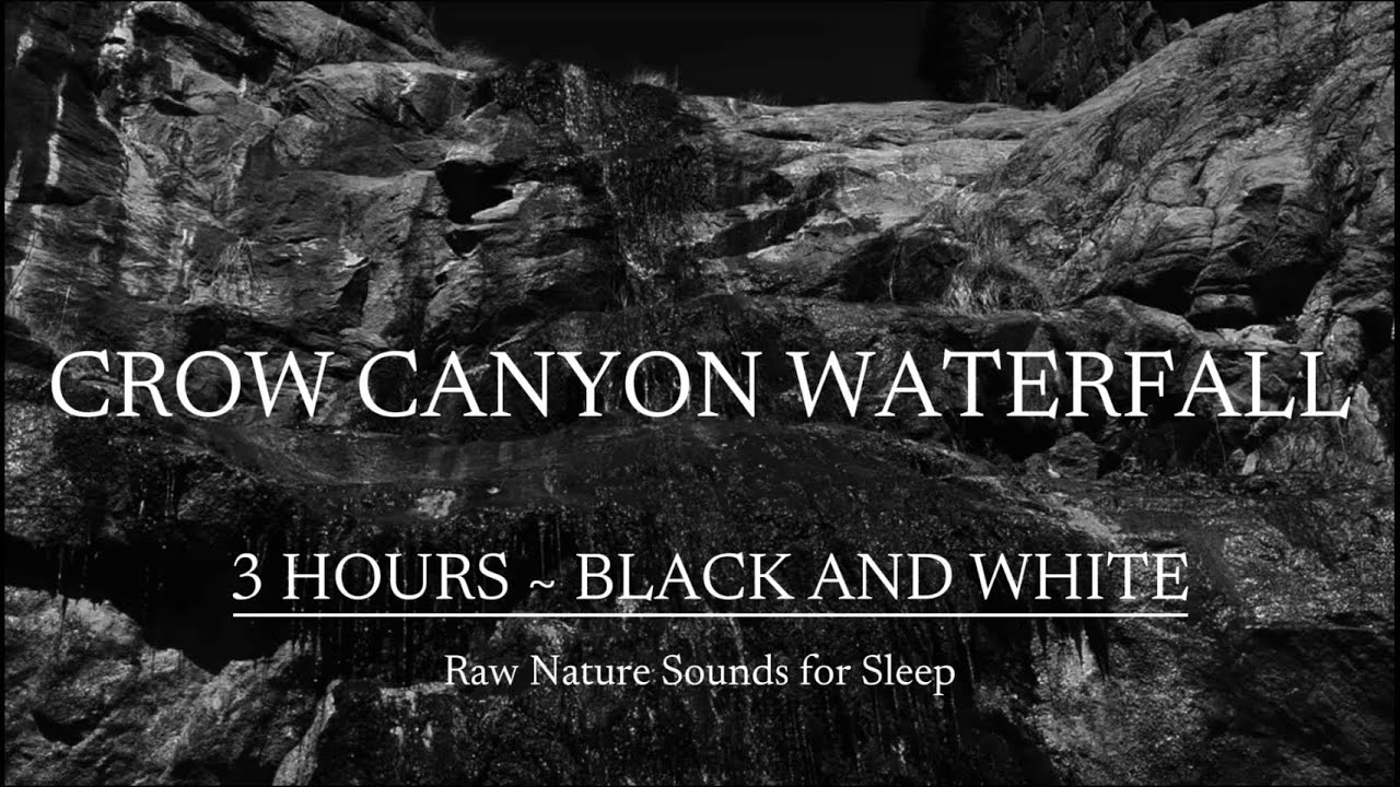 3 HOURS | Crow Canyon Waterfall Black & White  | Dark Gothic Nature | Real Crow Sounds ~ Ambient