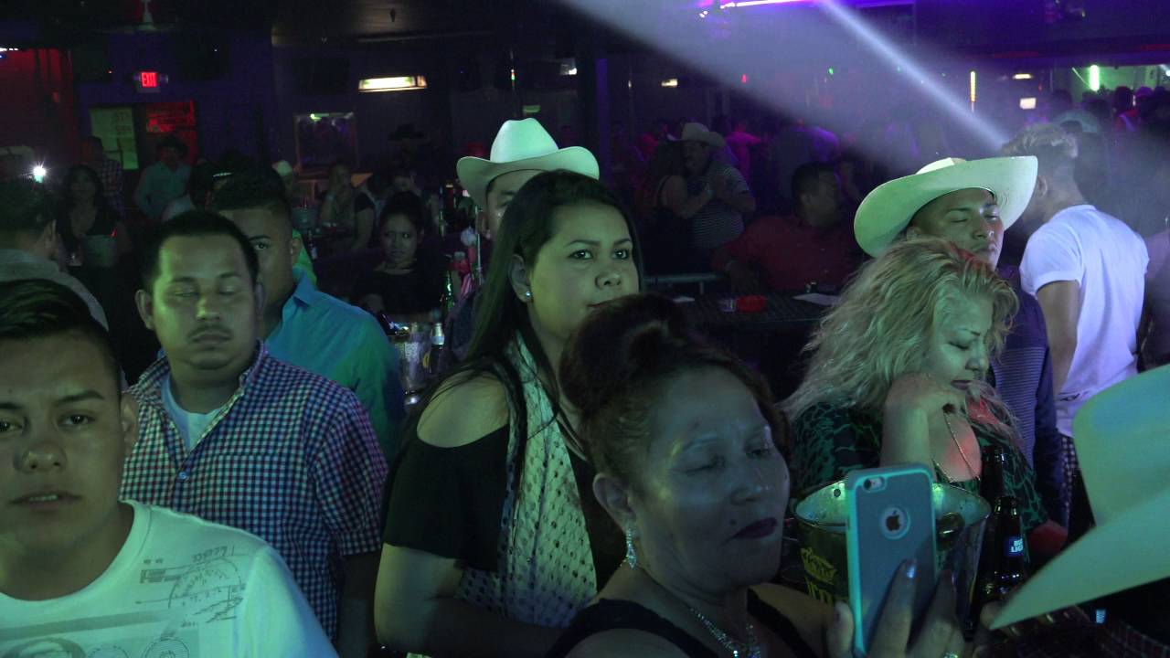 LOS GALLOS DE LA CIERRA  LE CANTAN AL AL LUPILLO