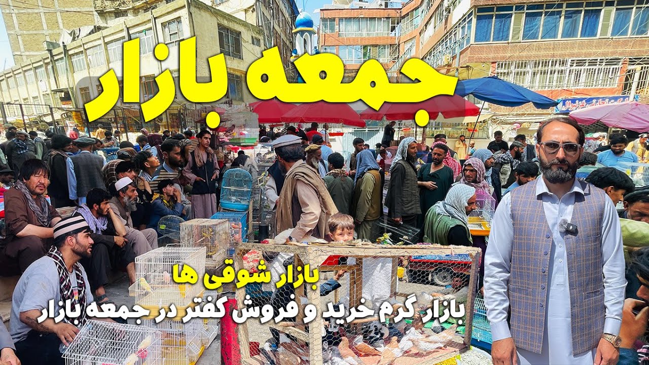 جمعه بازار - جمع جوش شوقی ها دربزرگترین بازار پرنده فروشی کابل