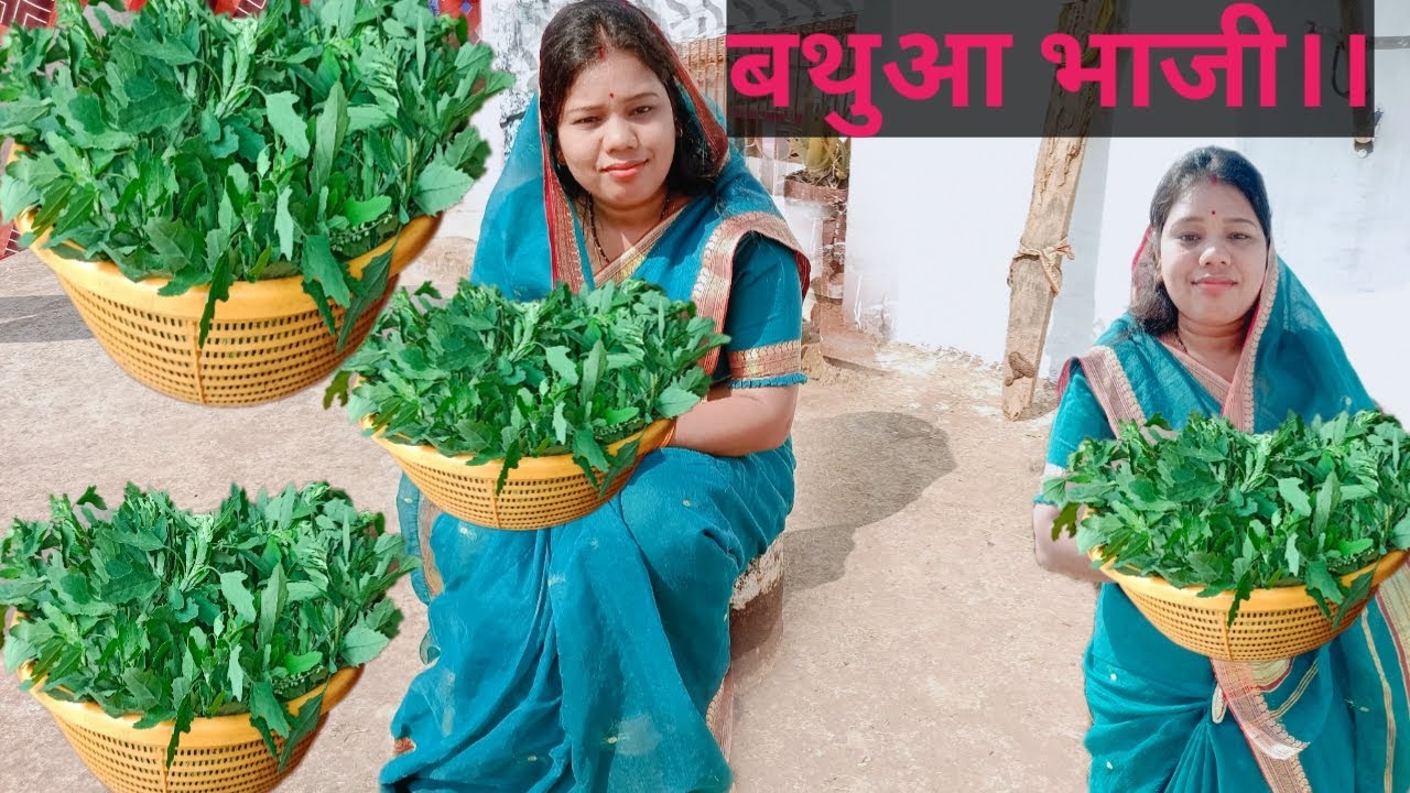 बथुआ के साग बनाये के आसान अउ देसी तरीका || how to make bathuwa ka daal || cg vlogger mamta||cg bhaji