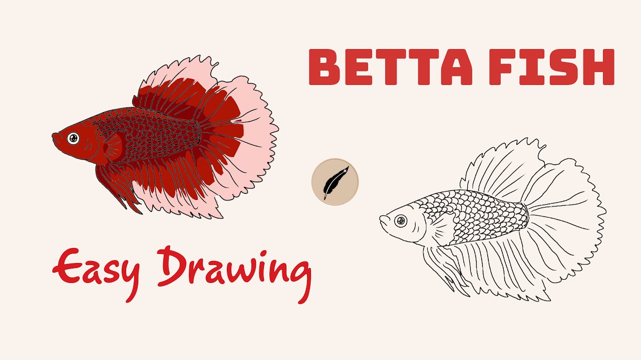 How to Draw a BETTA FISH! 🐠✨  Beautiful & Easy Step by Step for Kids and Beginners #lidoartworks