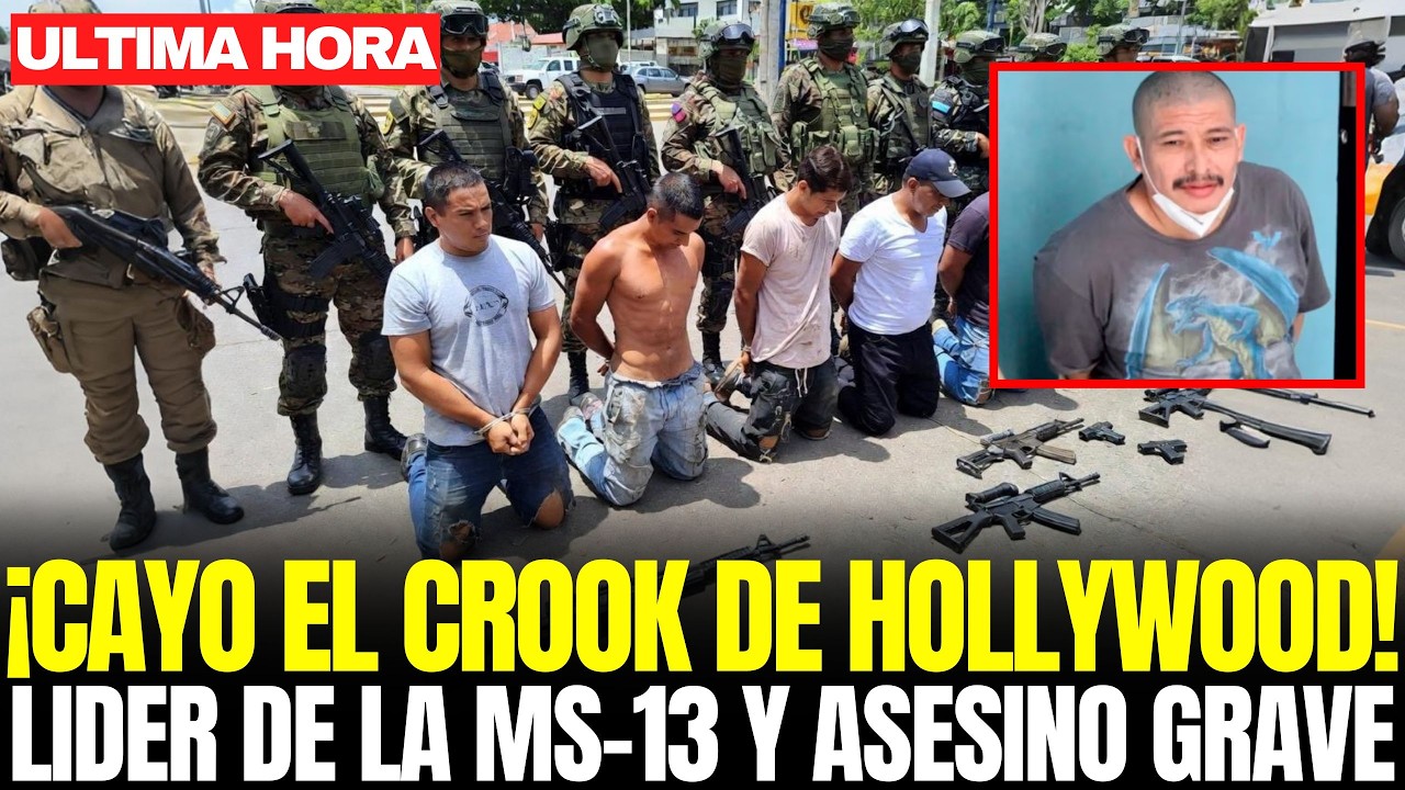 ASÍ CAYÓ el 