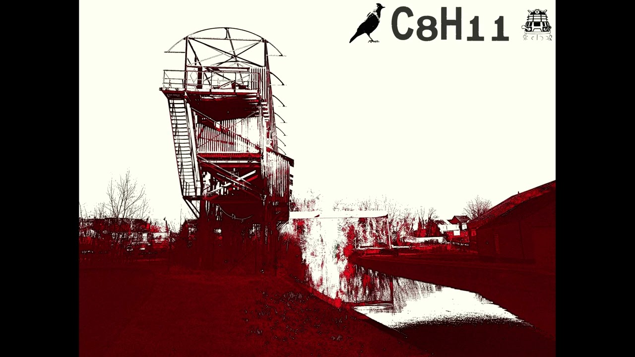 C8H11 - VDB (BSR -Qui Free tekno hard remix)