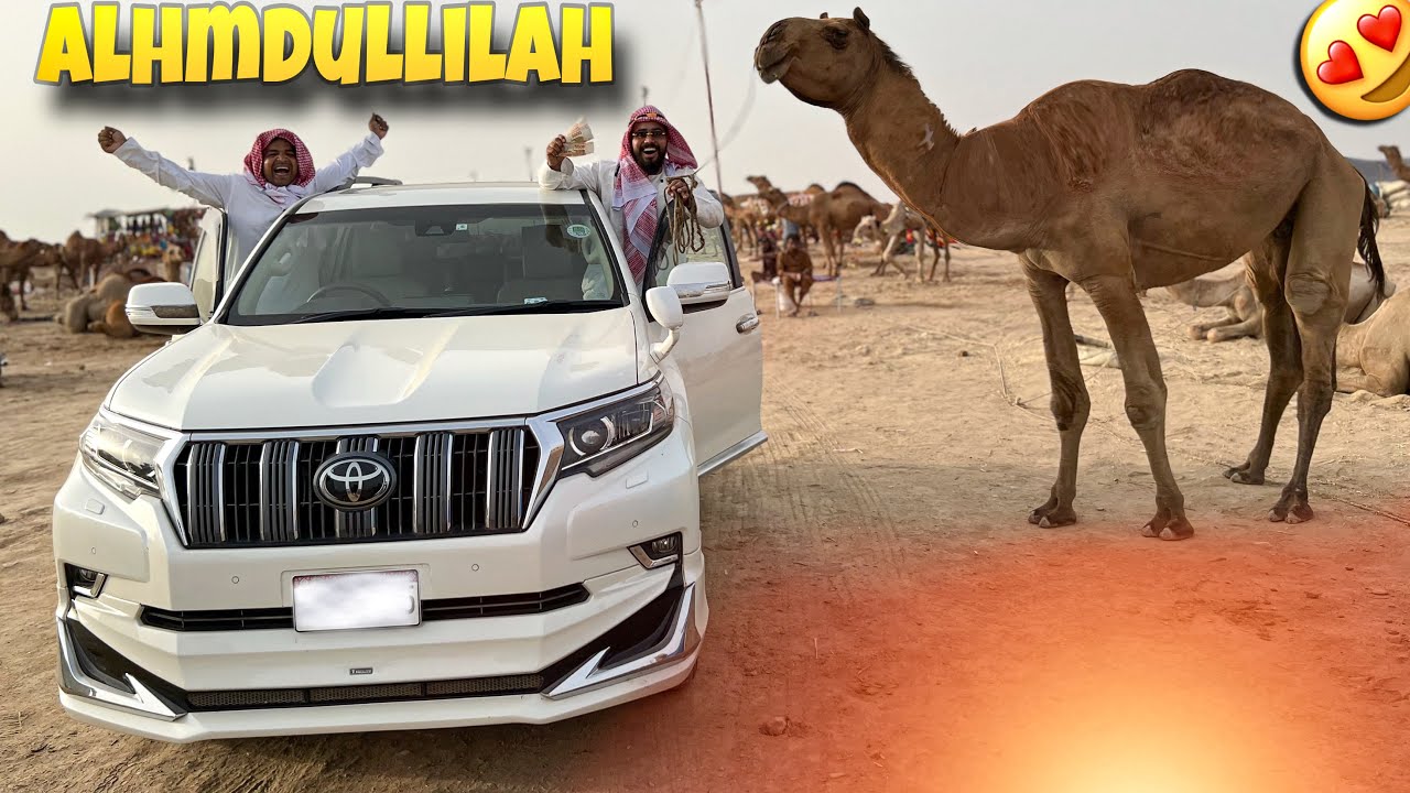 ALHAMDULILLAH DANGEROUS CAMEL 🐪 KA SAUDA KRA LIA 😍 | SYED FAHAD