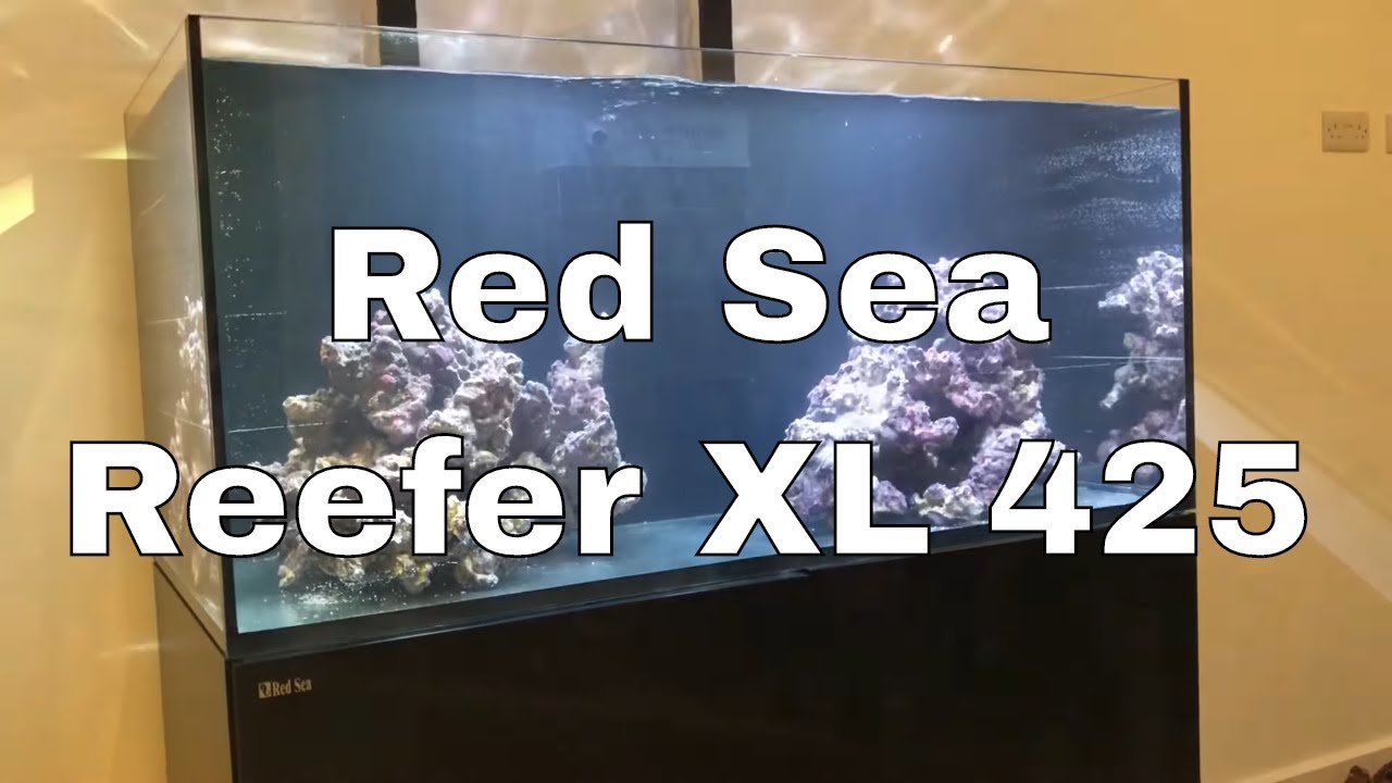 Знакомство с танком: первые впечатления | Red Sea Reefer XL 425 Build