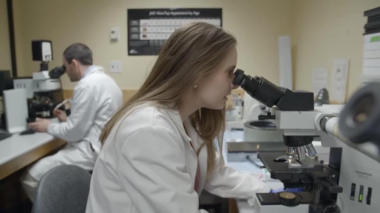 Pediatric Infectious Diseases Fellowship