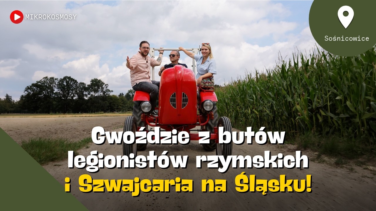 NAJDZIWNIEJSZA KOLEKCJA NA ŚLĄSKU? NIEZWYKŁE ATRAKCJE W SOŚNICOWICACH! | MIKROKOSMOSY