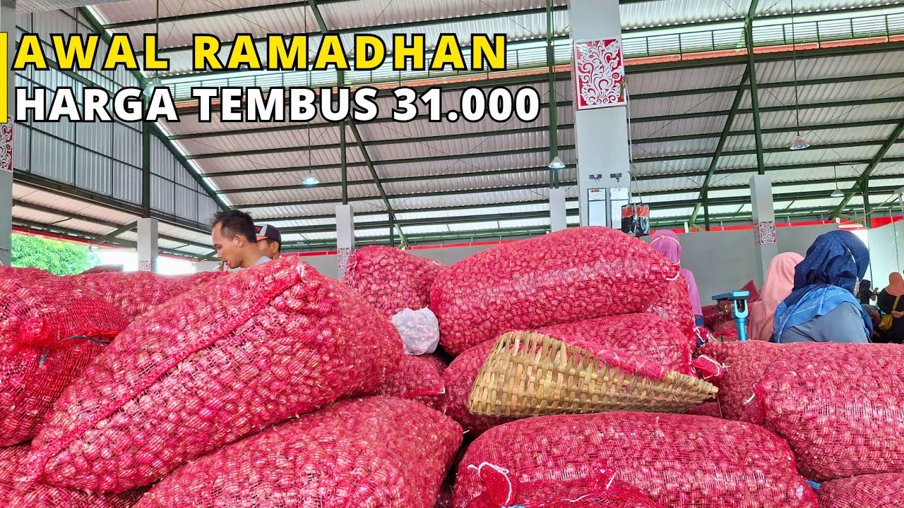 Awal Puasa Harga Bawang Merah Tambah Muahal