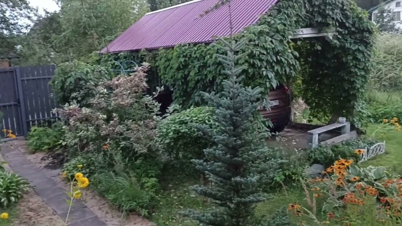 2148 - ✨ВЛОГ- Дача/Дачная жизнь/Разное... /от 12- 13 августа 2025г.
