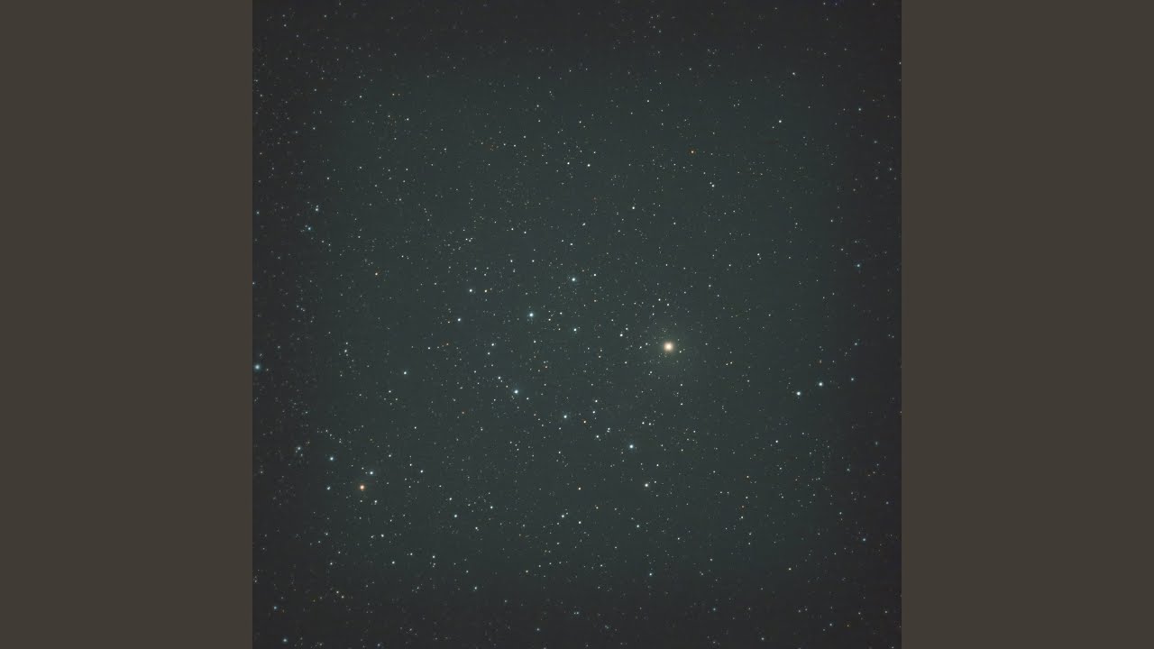 Vastness