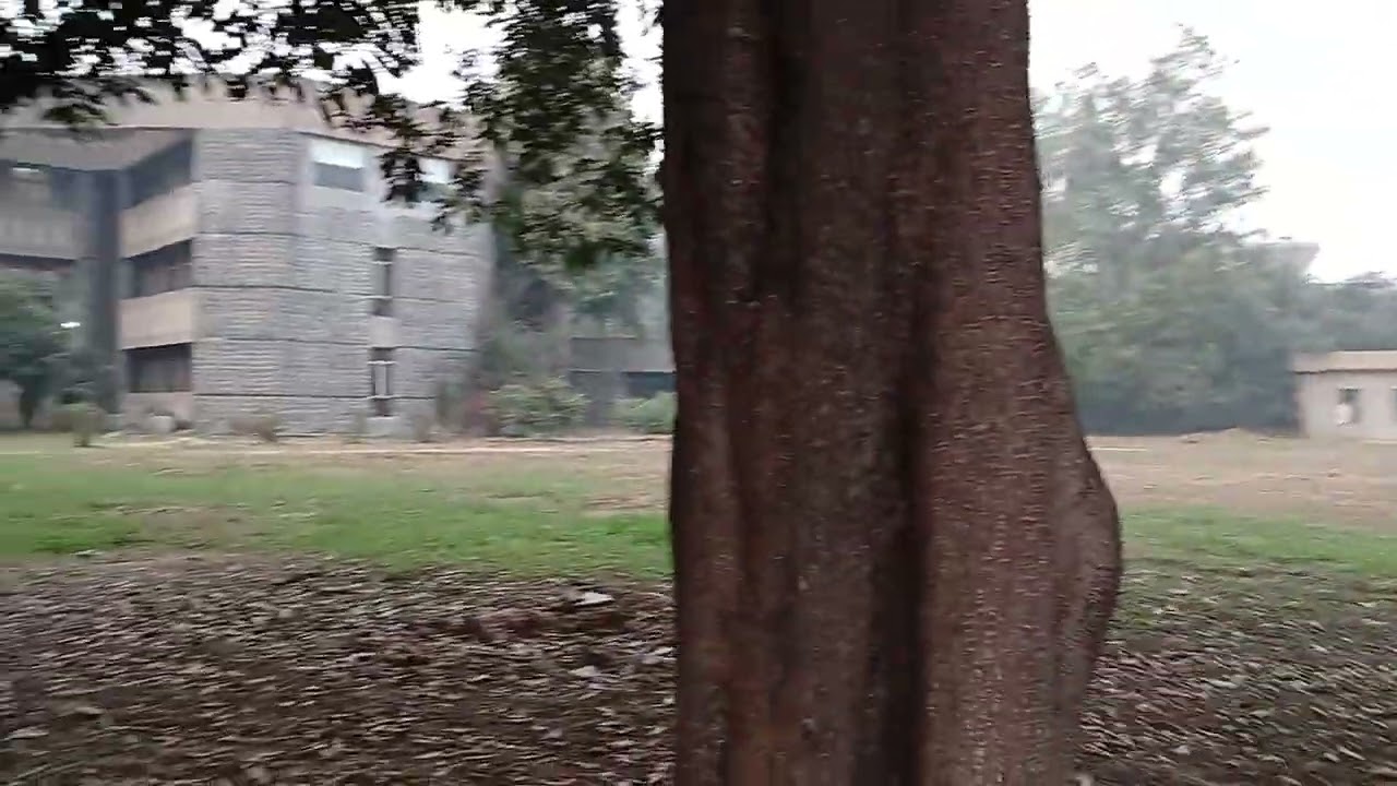 Faridabad New Delhi  India 