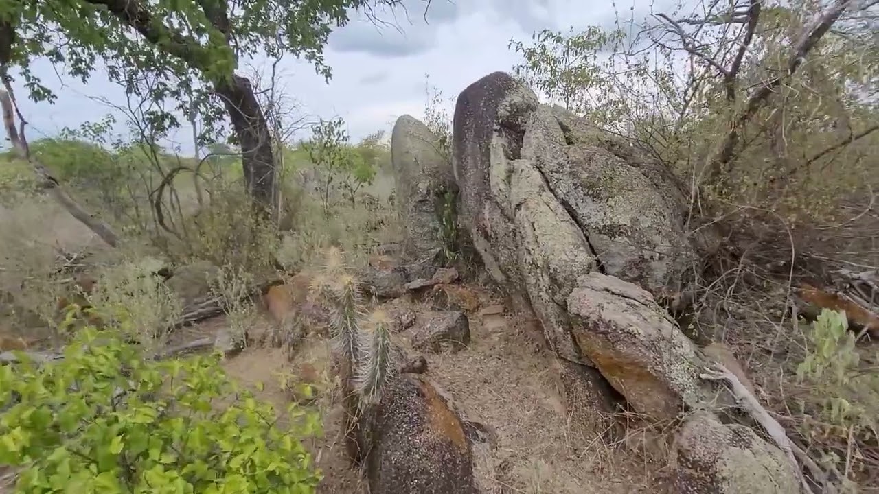 Tesouro Jesuítas Pedras e símbolos