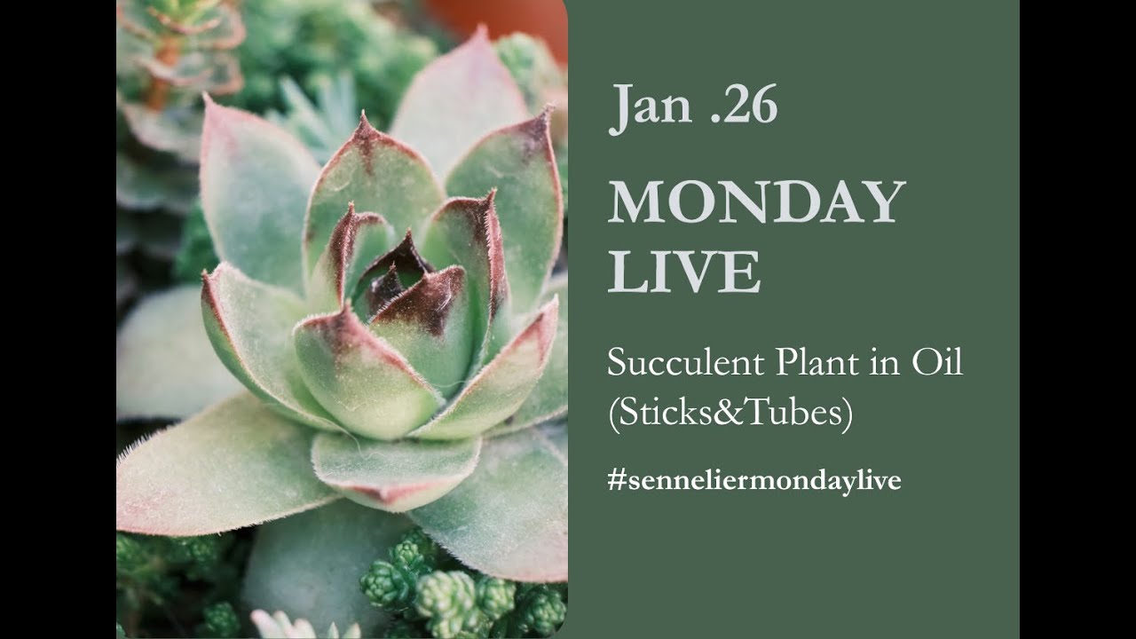 Monday Live – Succulent Plant in Oil (Sticks & Tubes)