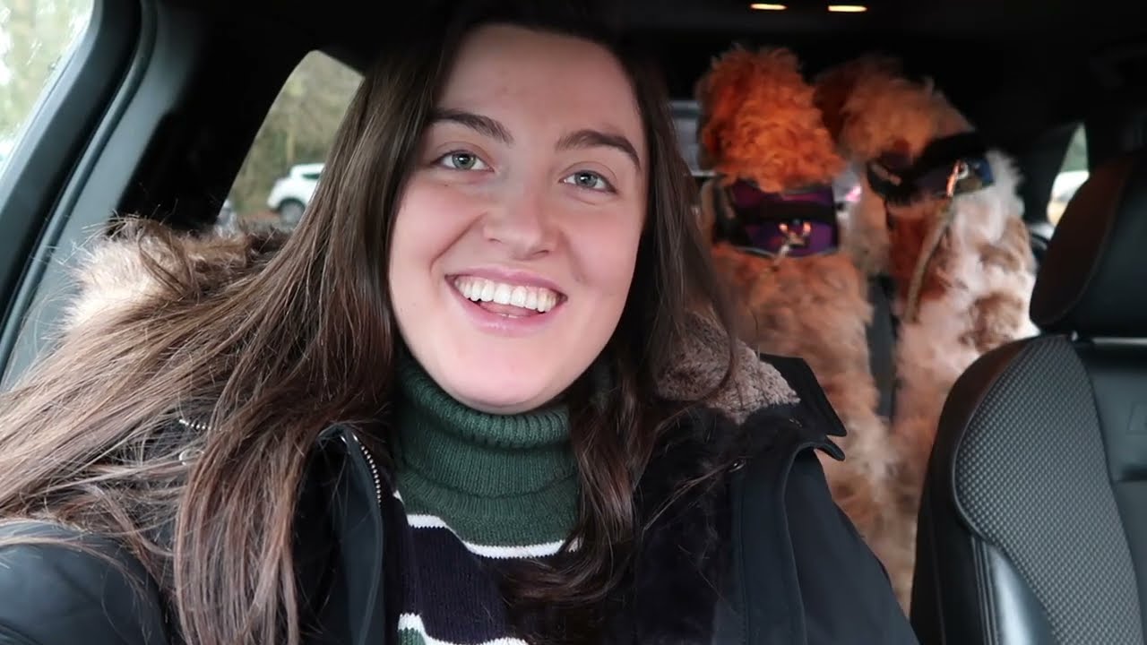 Archie sees his brothers again!