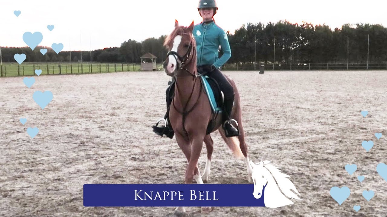 Bell kan wijken! * Hart voor Paarden *