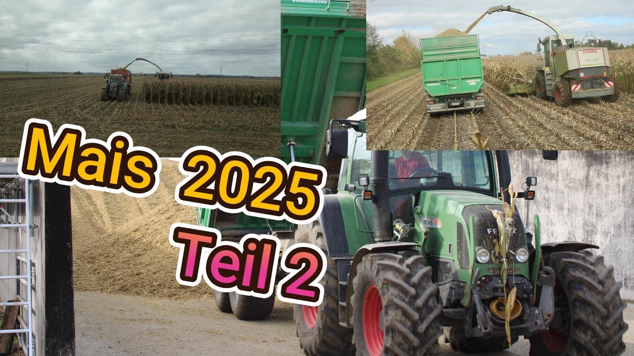 Mais Silieren 2025 Teil 2