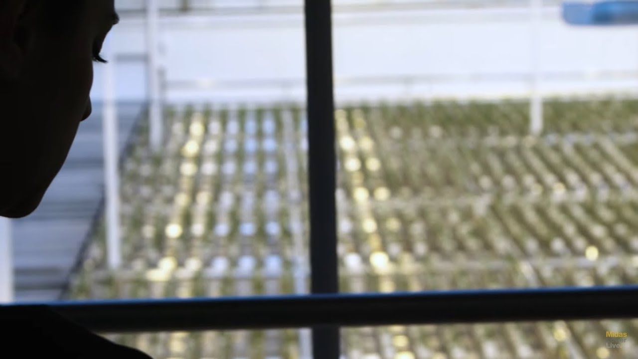 Aurora Sky Site Tour: Aurora Cannabis Inc (TSE:ACB) Pioneers a New Way to Grow Cannabis