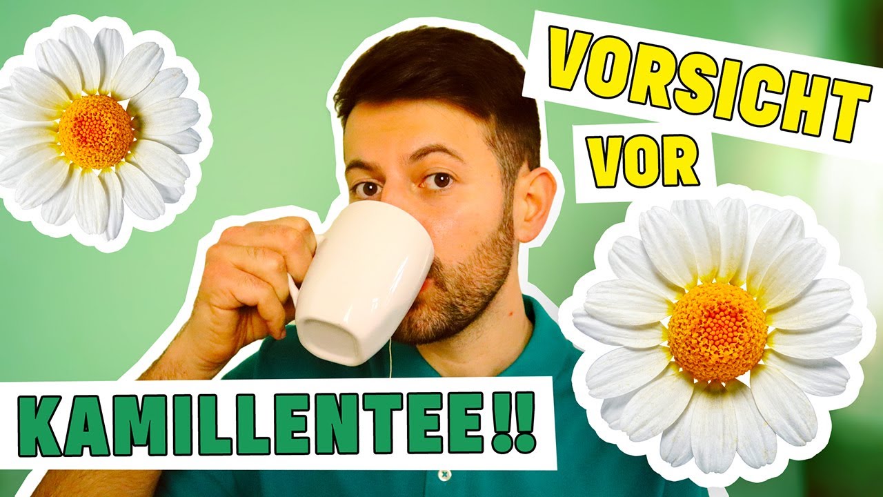 Bindehautentzündung beim Hund mit Kamillentee behandeln – STOP!! (Tierarzt klärt auf)