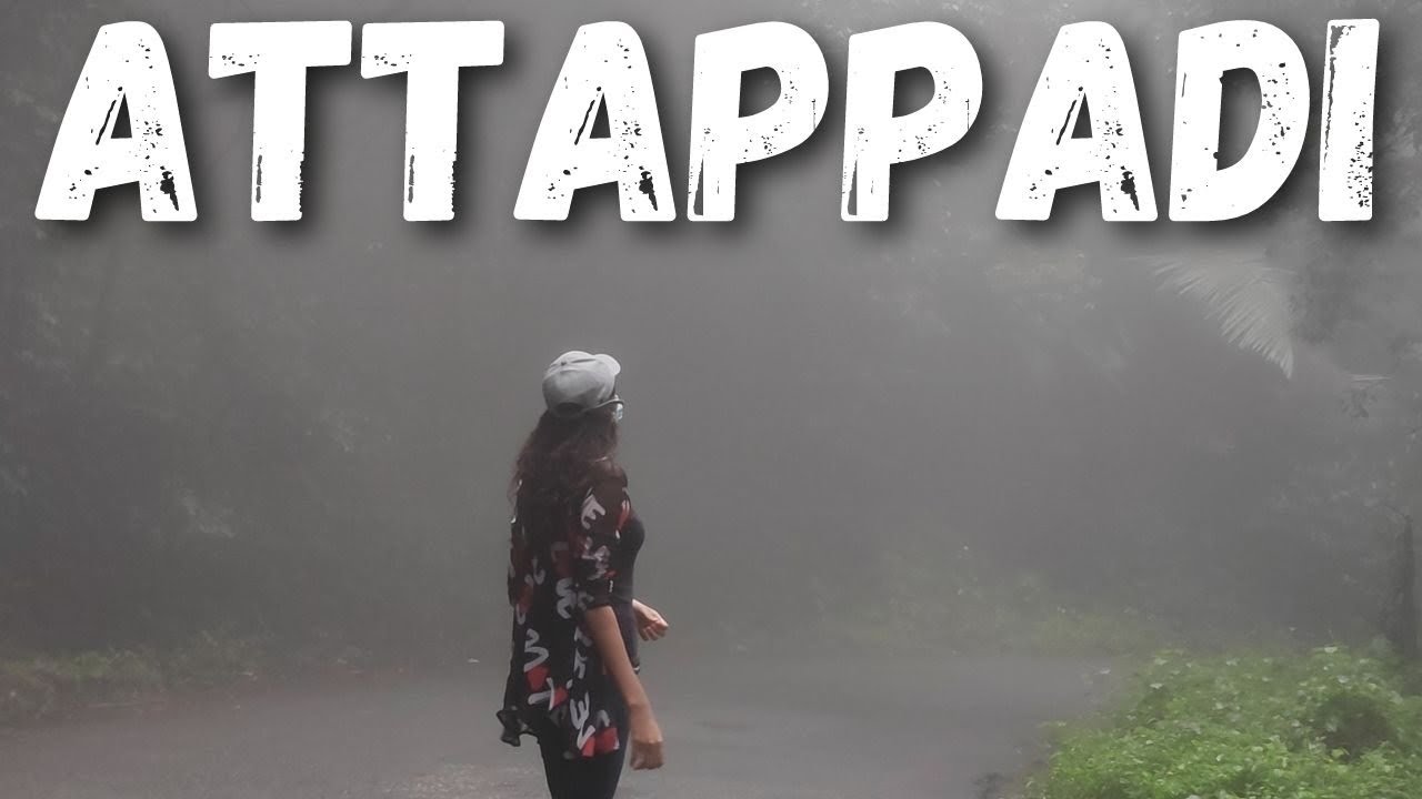 Attappadi | കാട് ഒരു ദിവസം ഓഫീസ്&zwnj; ആക്കിയപ്പോൾ | Ardra Ravindran | Malayalam | Travel Vlog |
