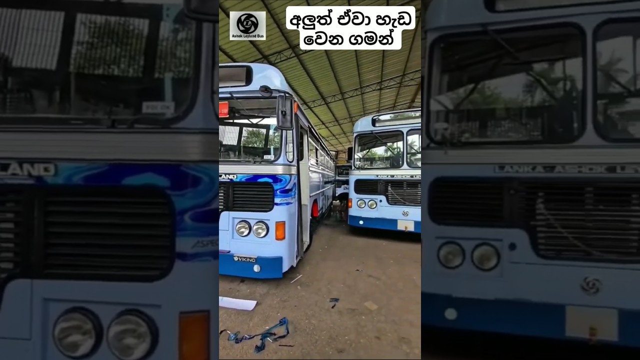 Brand New Leyland Bus Modifications #leyland #automobile #driver